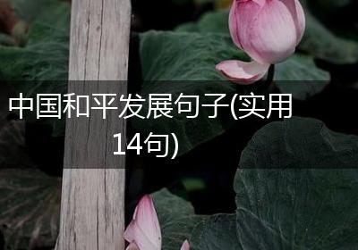 中国和平发展句子(实用14句)
