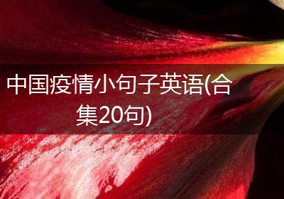 中国疫情小句子英语(合集20句)
