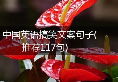中国英语搞笑文案句子(推荐117句)