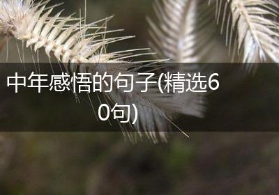 中年感悟的句子(精选60句)