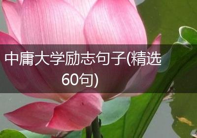 中庸大学励志句子(精选60句)