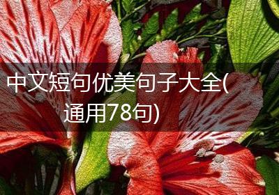 中文短句优美句子大全(通用78句)