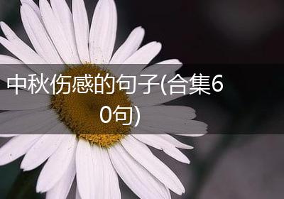 中秋伤感的句子(合集60句)