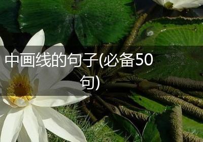 中画线的句子(必备50句)