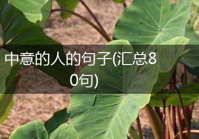 中意的人的句子(汇总80句)