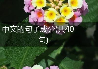 中文的句子成分(共40句)