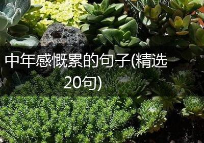 中年感慨累的句子(精选20句)