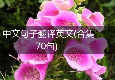 中文句子翻译英文(合集70句)