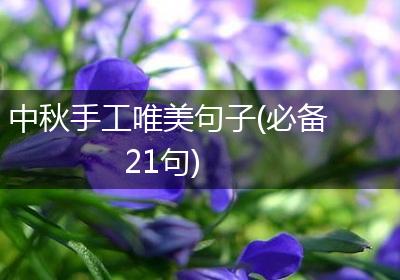 中秋手工唯美句子(必备21句)