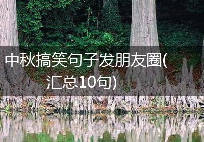 中秋搞笑句子发朋友圈(汇总10句)