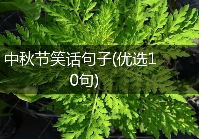 中秋节笑话句子(优选10句)