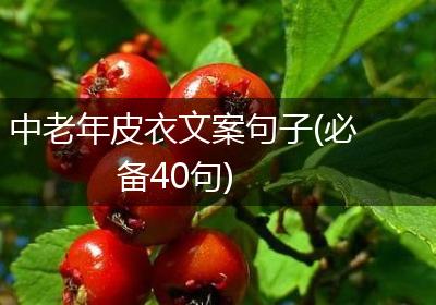 中老年皮衣文案句子(必备40句)