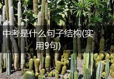 中考是什么句子结构(实用9句)