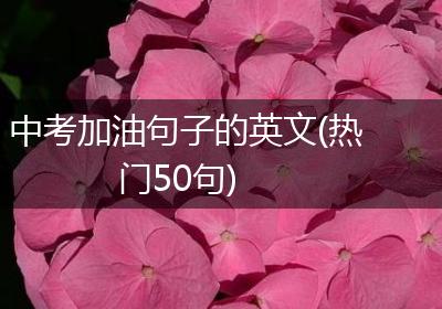 中考加油句子的英文(热门50句)