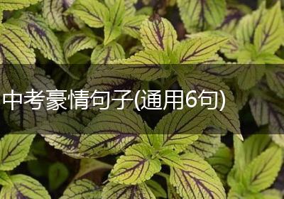 中考豪情句子(通用6句)