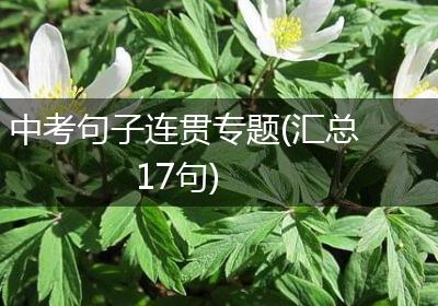 中考句子连贯专题(汇总17句)