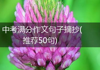 中考满分作文句子摘抄(推荐50句)