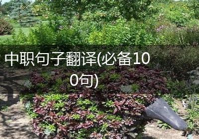 中职句子翻译(必备100句)