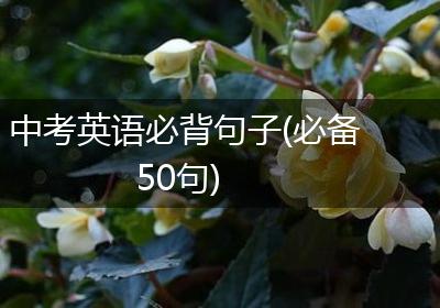 中考英语必背句子(必备50句)