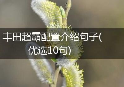 丰田超霸配置介绍句子(优选10句)