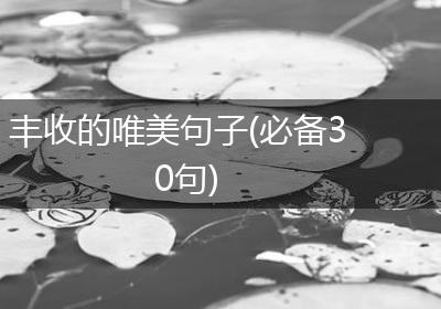 丰收的唯美句子(必备30句)