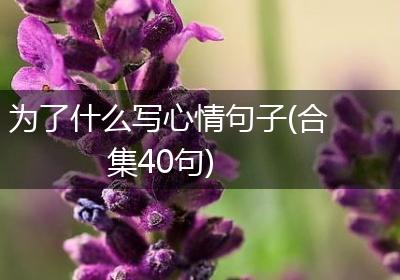 为了什么写心情句子(合集40句)