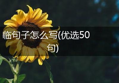 临句子怎么写(优选50句)