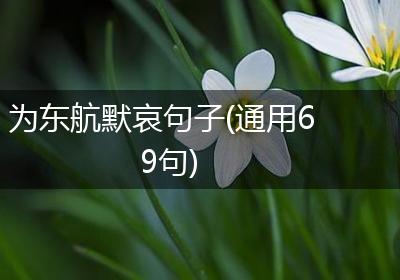 为东航默哀句子(通用69句)