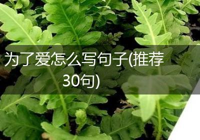 为了爱怎么写句子(推荐30句)