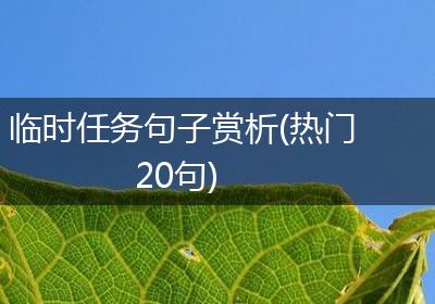 临时任务句子赏析(热门20句)