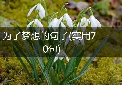 为了梦想的句子(实用70句)