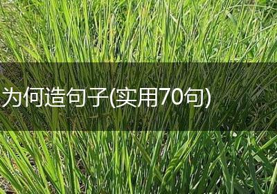 为何造句子(实用70句)