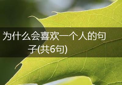 为什么会喜欢一个人的句子(共6句)