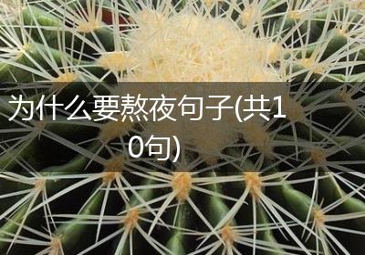 为什么要熬夜句子(共10句)