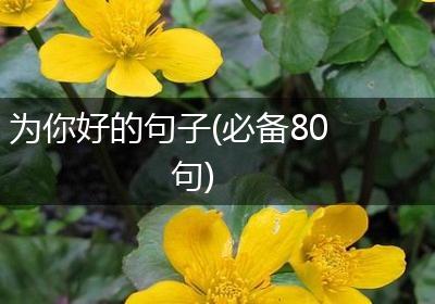 为你好的句子(必备80句)