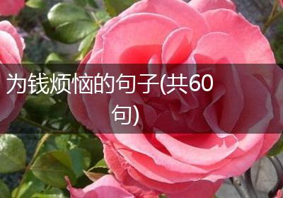 为钱烦恼的句子(共60句)