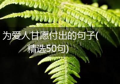 为爱人甘愿付出的句子(精选50句)