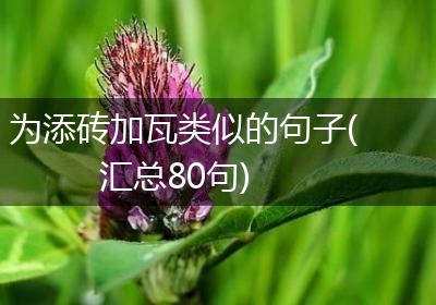 为添砖加瓦类似的句子(汇总80句)