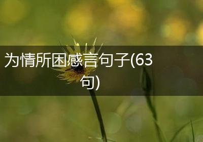 为情所困感言句子(63句)