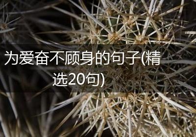 为爱奋不顾身的句子(精选20句)