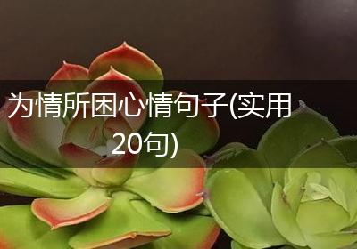 为情所困心情句子(实用20句)
