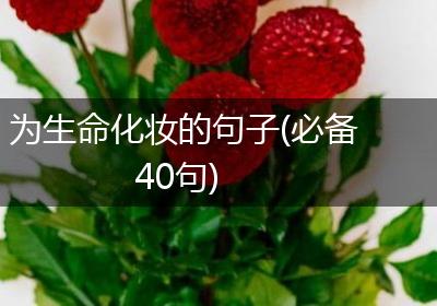为生命化妆的句子(必备40句)