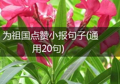 为祖国点赞小报句子(通用20句)