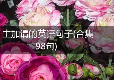 主加谓的英语句子(合集98句)