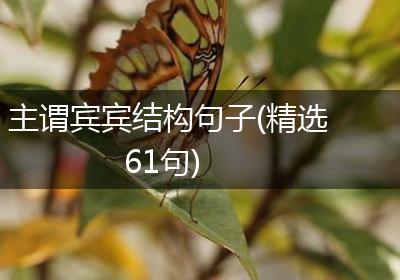 主谓宾宾结构句子(精选61句)