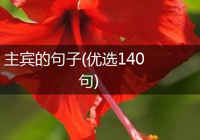 主宾的句子(优选140句)