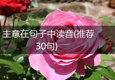 主意在句子中读音(推荐30句)