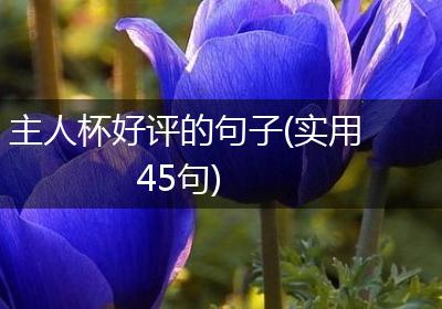 主人杯好评的句子(实用45句)