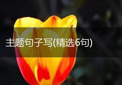 主题句子写(精选6句)