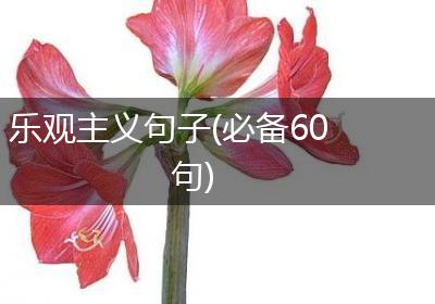 乐观主义句子(必备60句)